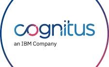 Codnitus